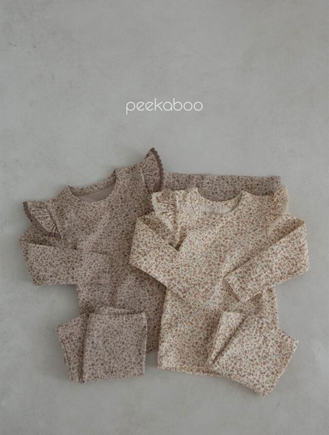 IMG_2049-1728612292833