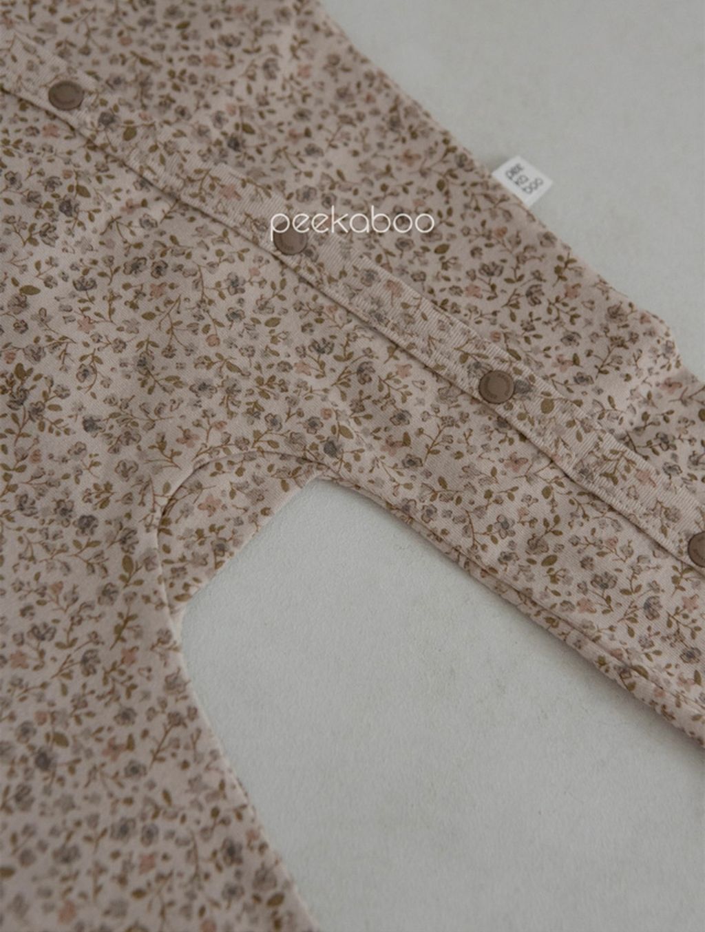 IMG_2102-1728612381707