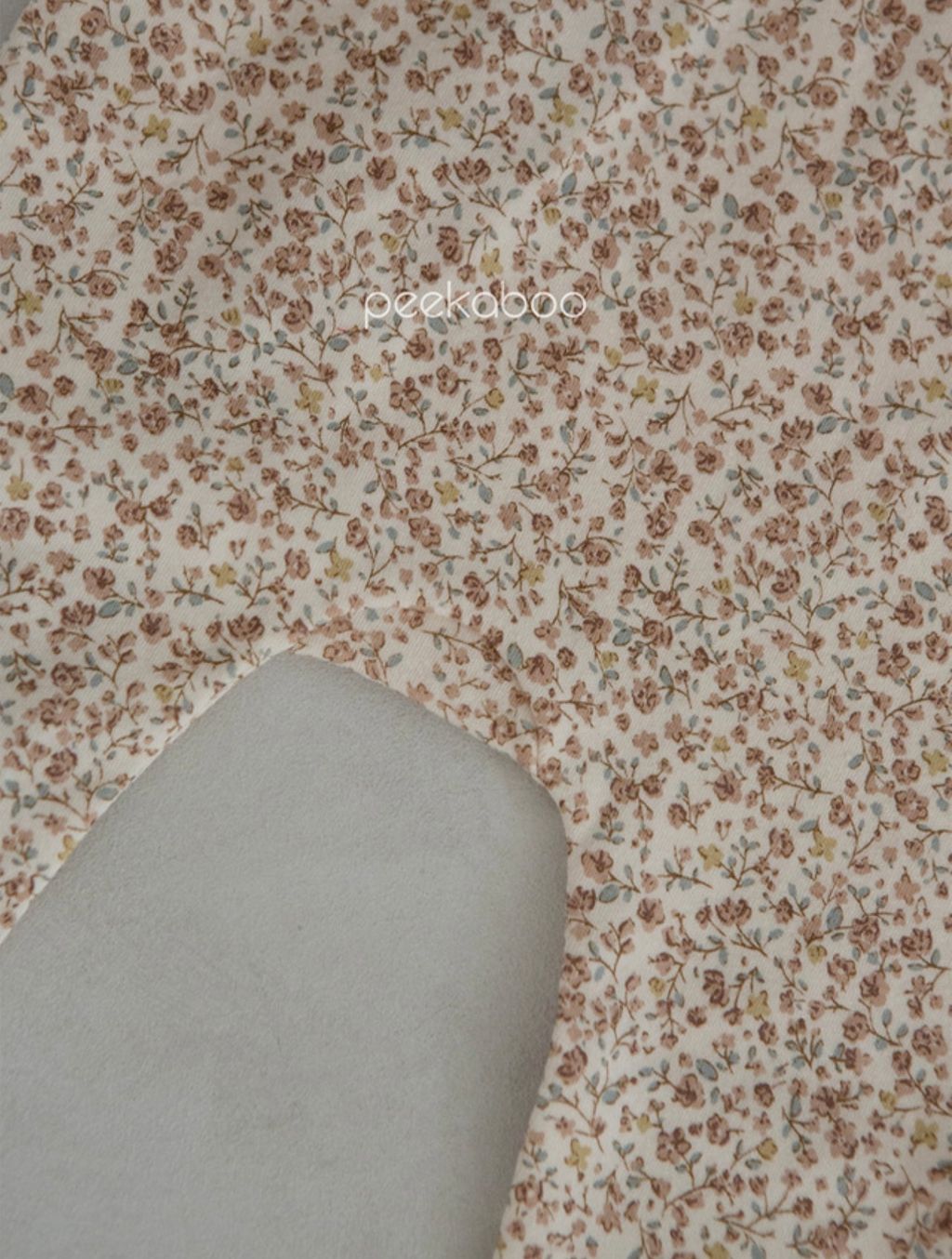 IMG_2100-1728612381722