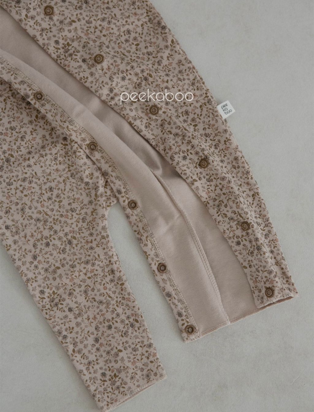 IMG_2104-1728612381739