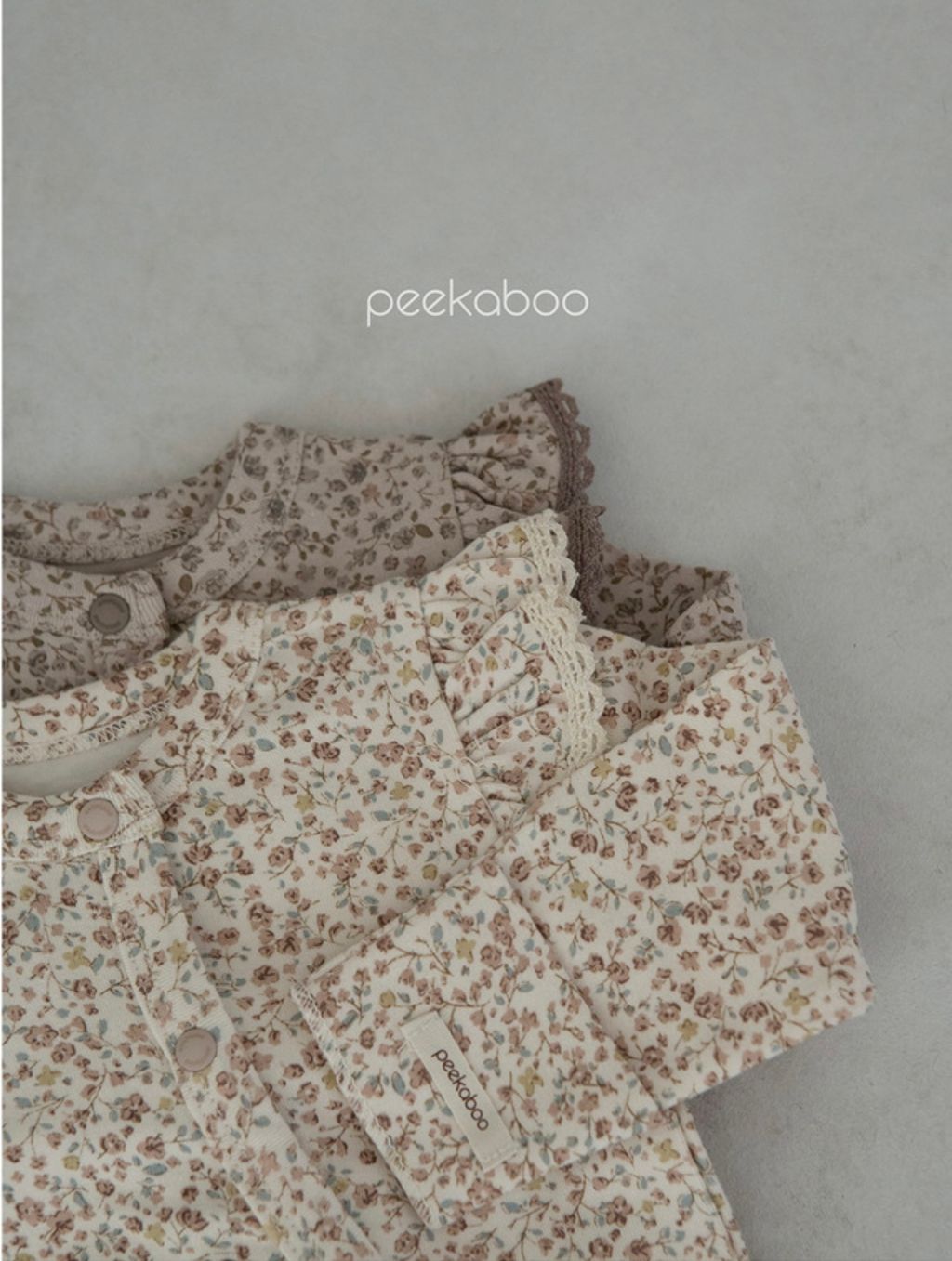 IMG_2105-1728612381746