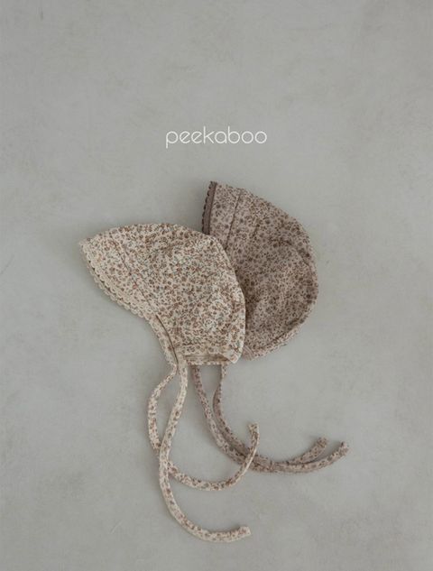 IMG_2111-1728612442246