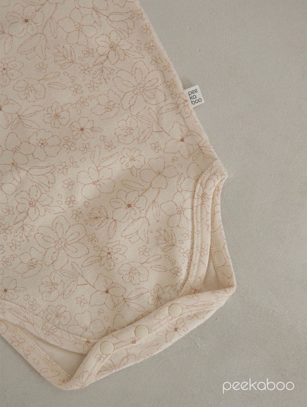 IMG_2217-1728613185701