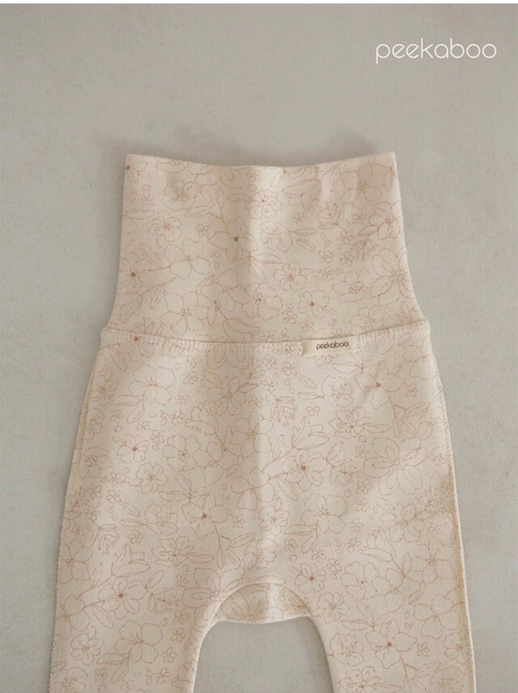 IMG_2272-1728613468556