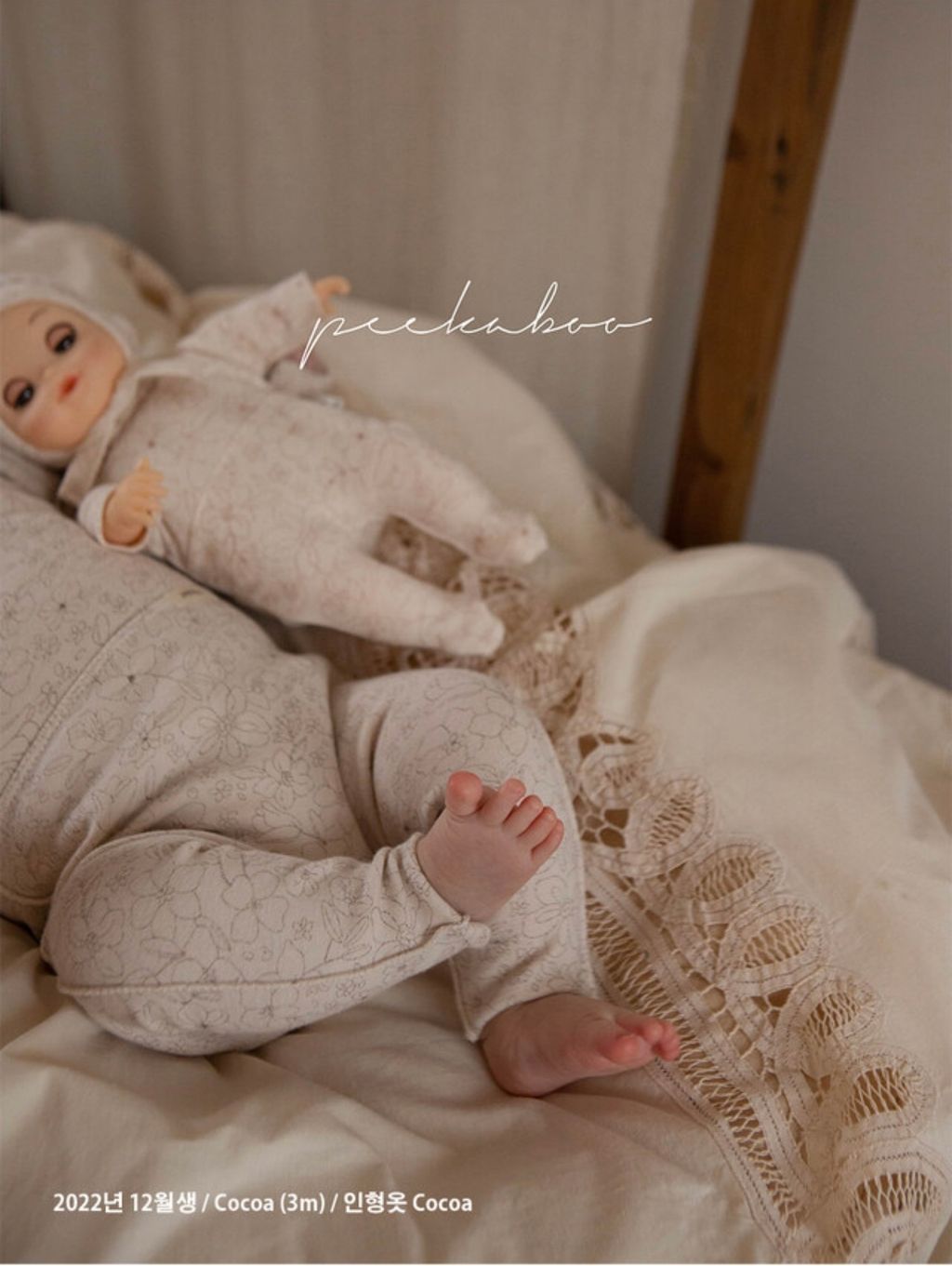 IMG_2280-1728613468622