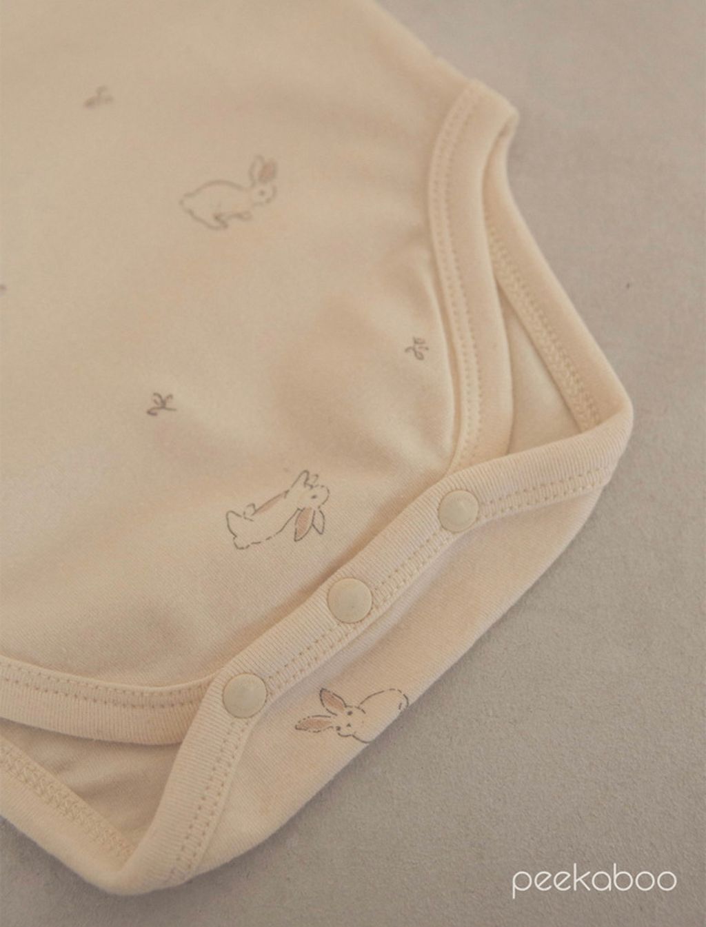 IMG_2307-1728613592820