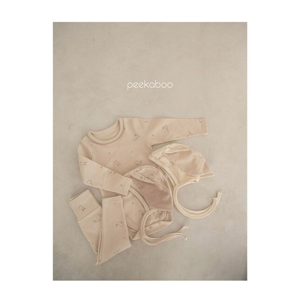 IMG_2316-1728613592874