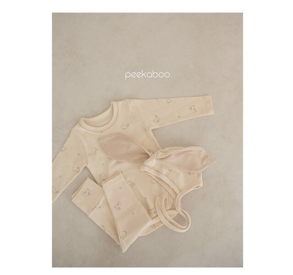 IMG_2317-1728613592883