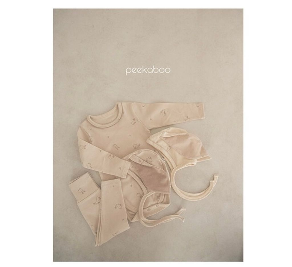 IMG_2335-1728613651773