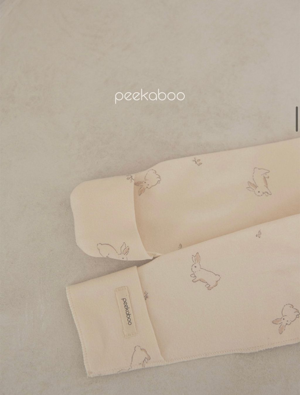 IMG_2342-1728613705026