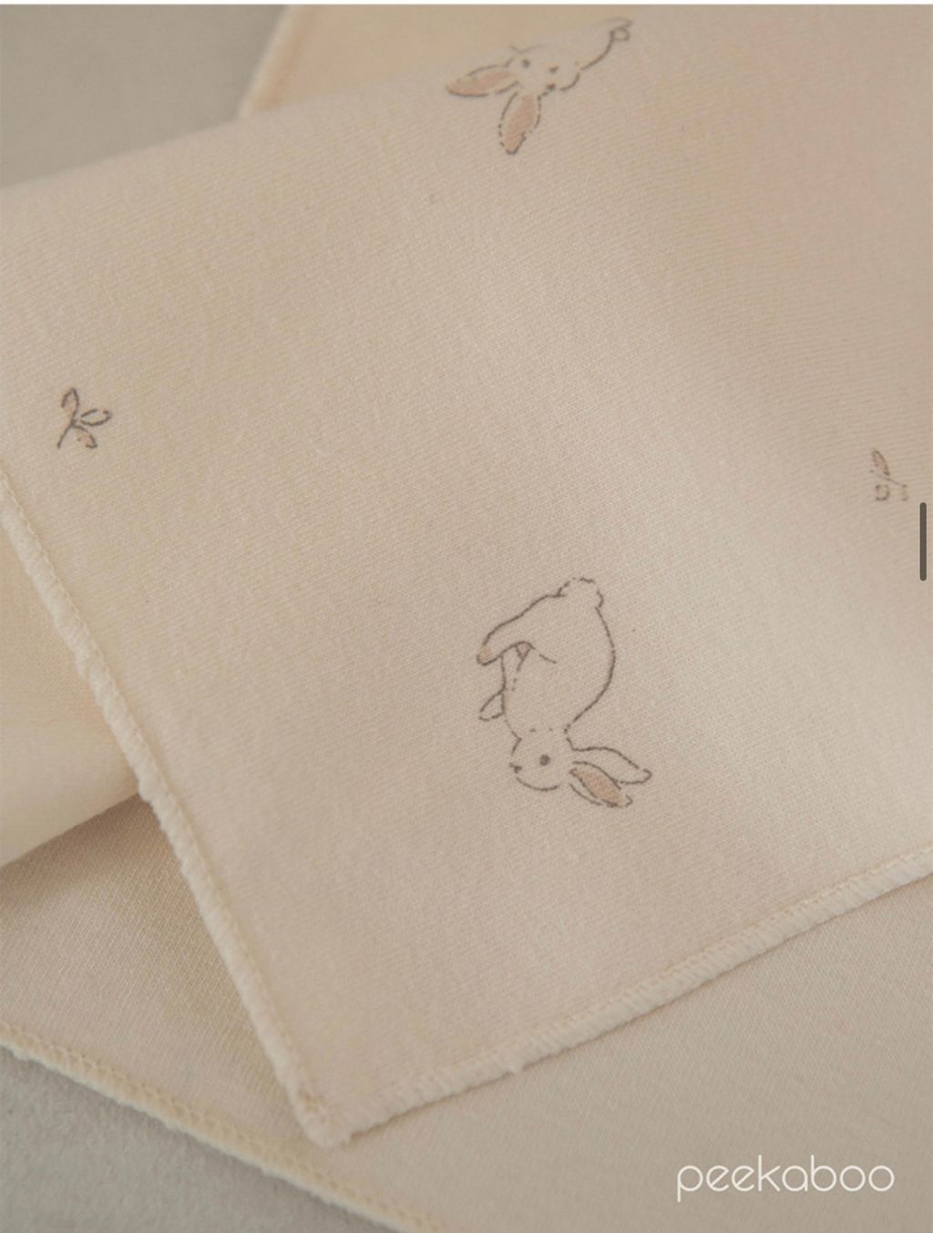 IMG_2346-1728613705091