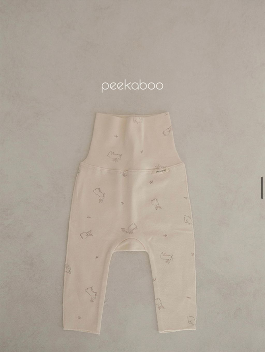 IMG_2349-1728613705100