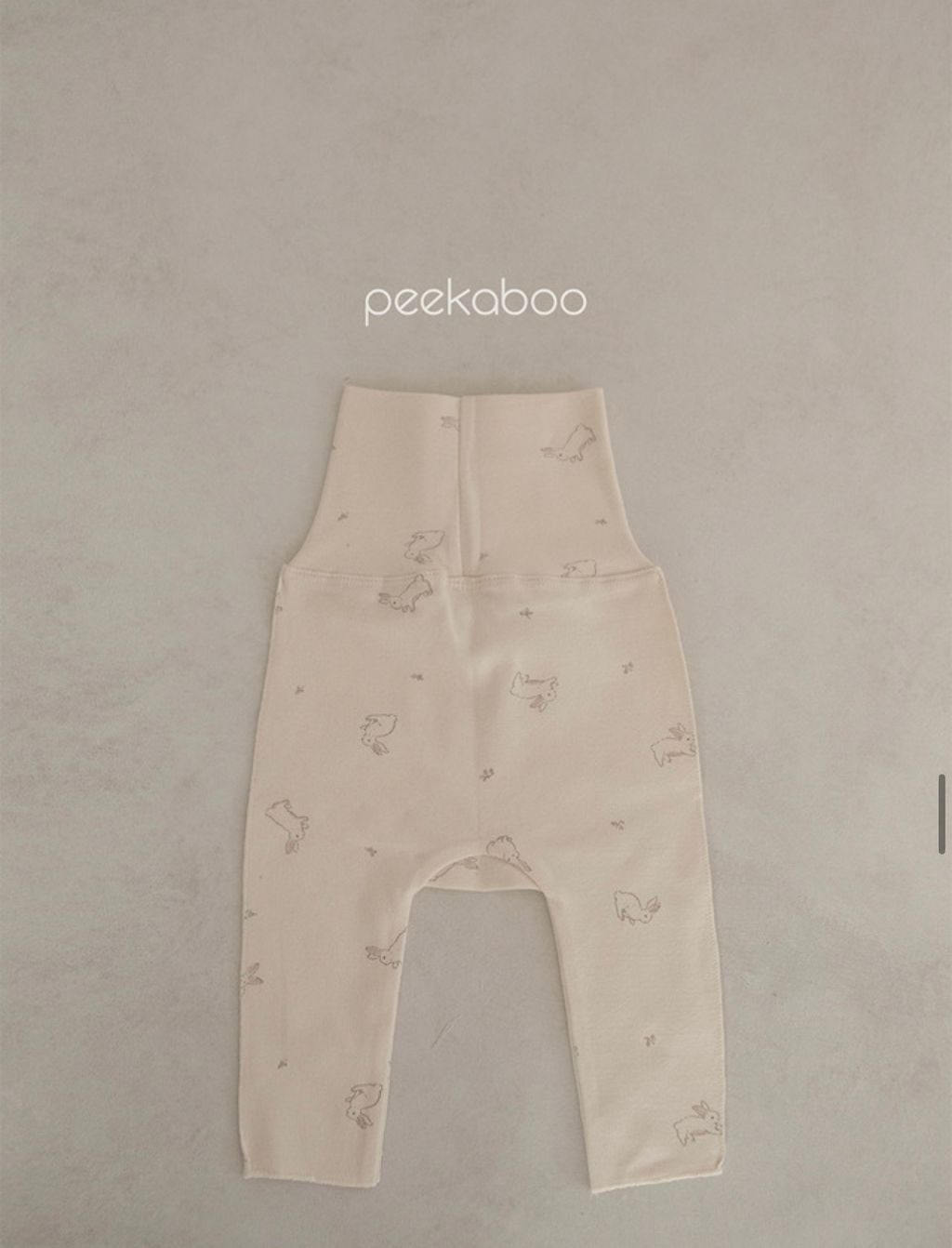 IMG_2352-1728613705141