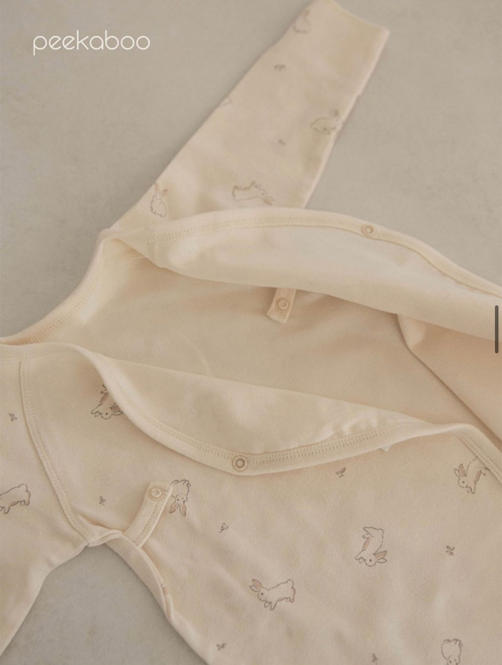 IMG_2366-1728613742624