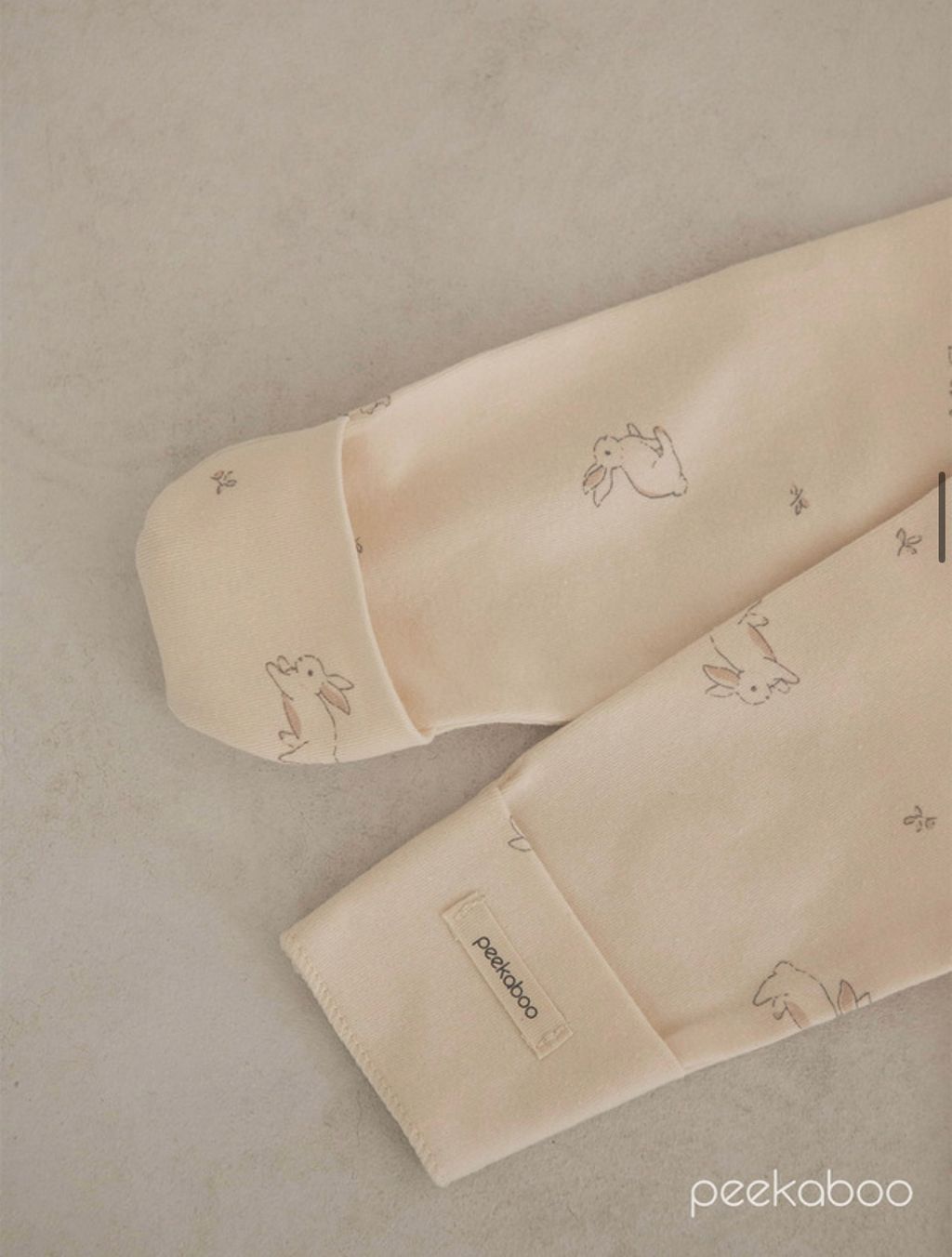 IMG_2365-1728613742632