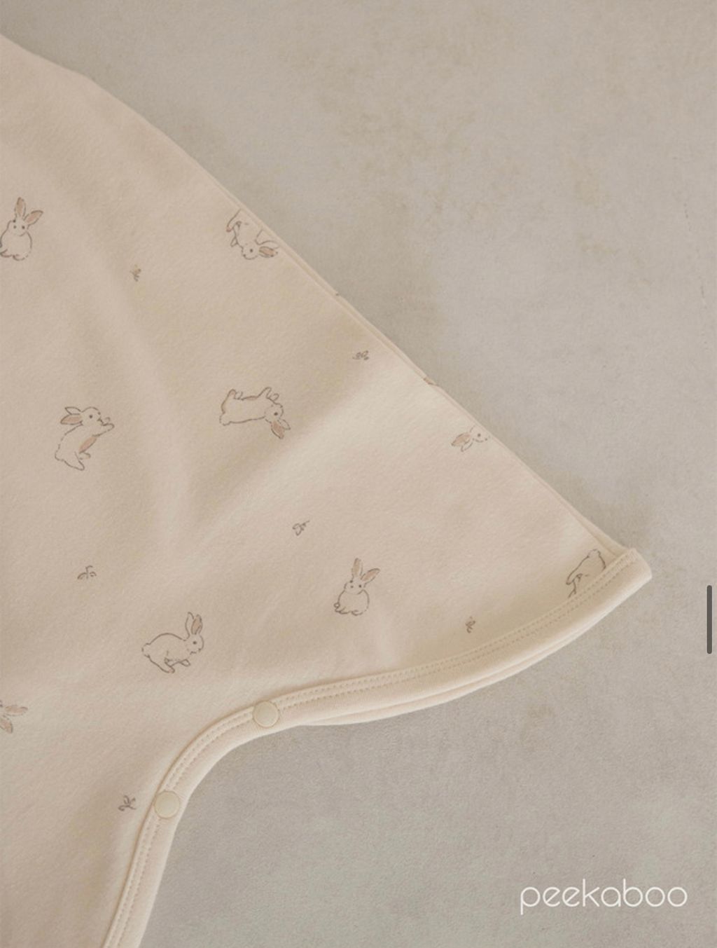 IMG_2369-1728613742648