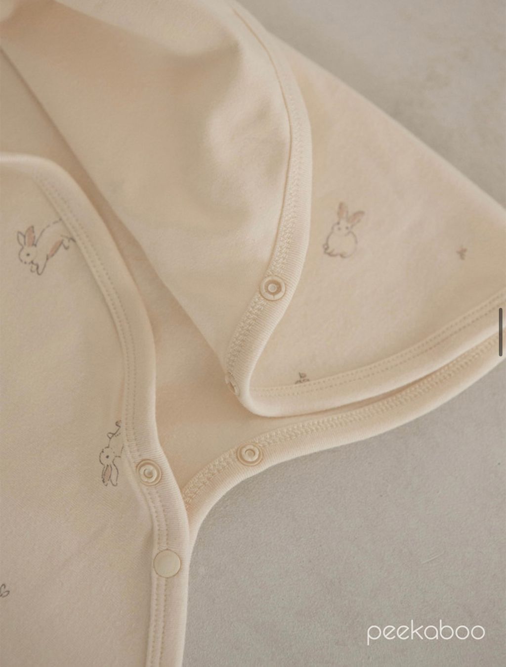 IMG_2367-1728613742665