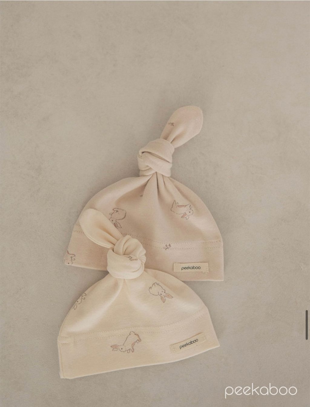 IMG_2371-1728613742681