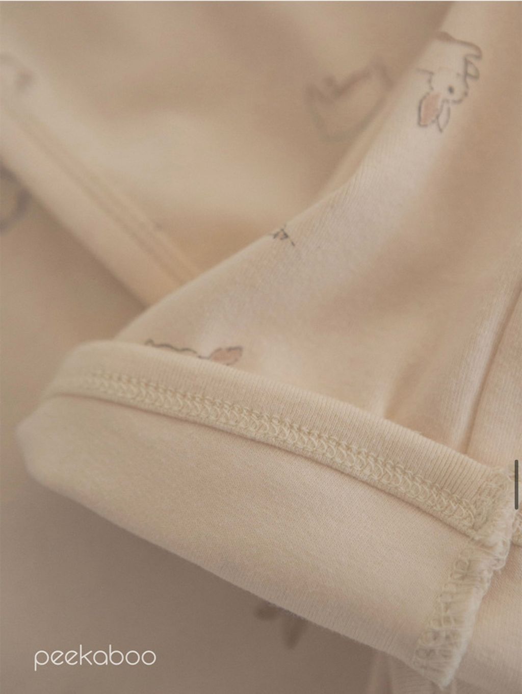 IMG_2370-1728613742690