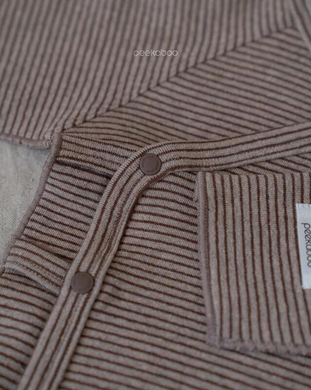 IMG_0554-1730428899211