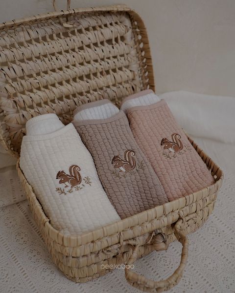 IMG_0639-1730430446383