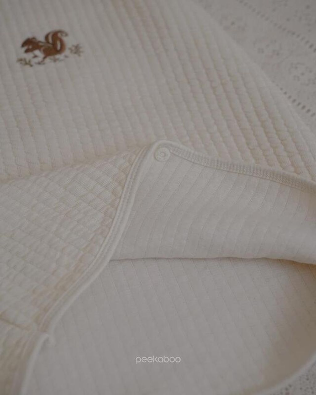 IMG_0647-1730430446433