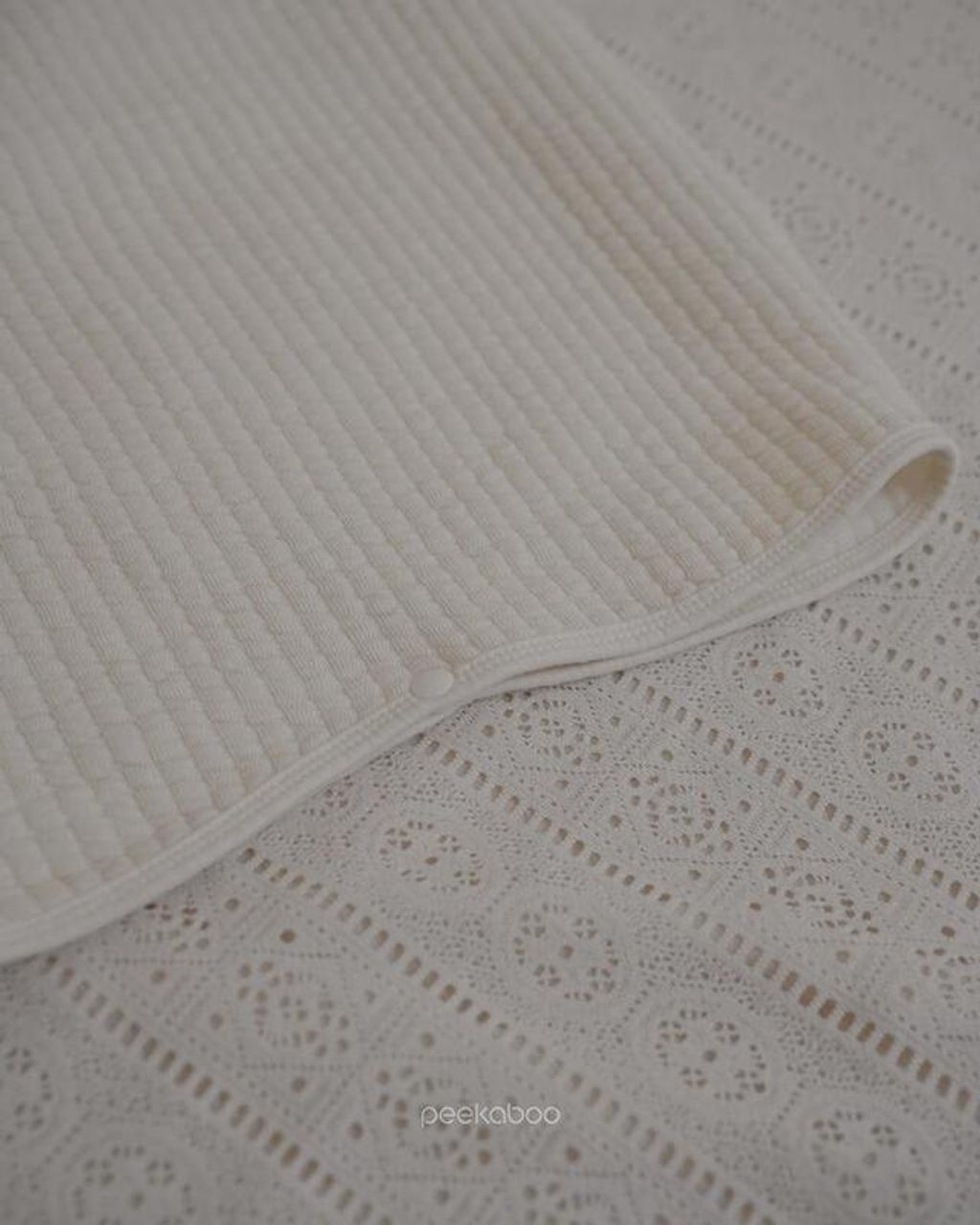 IMG_0646-1730430446440