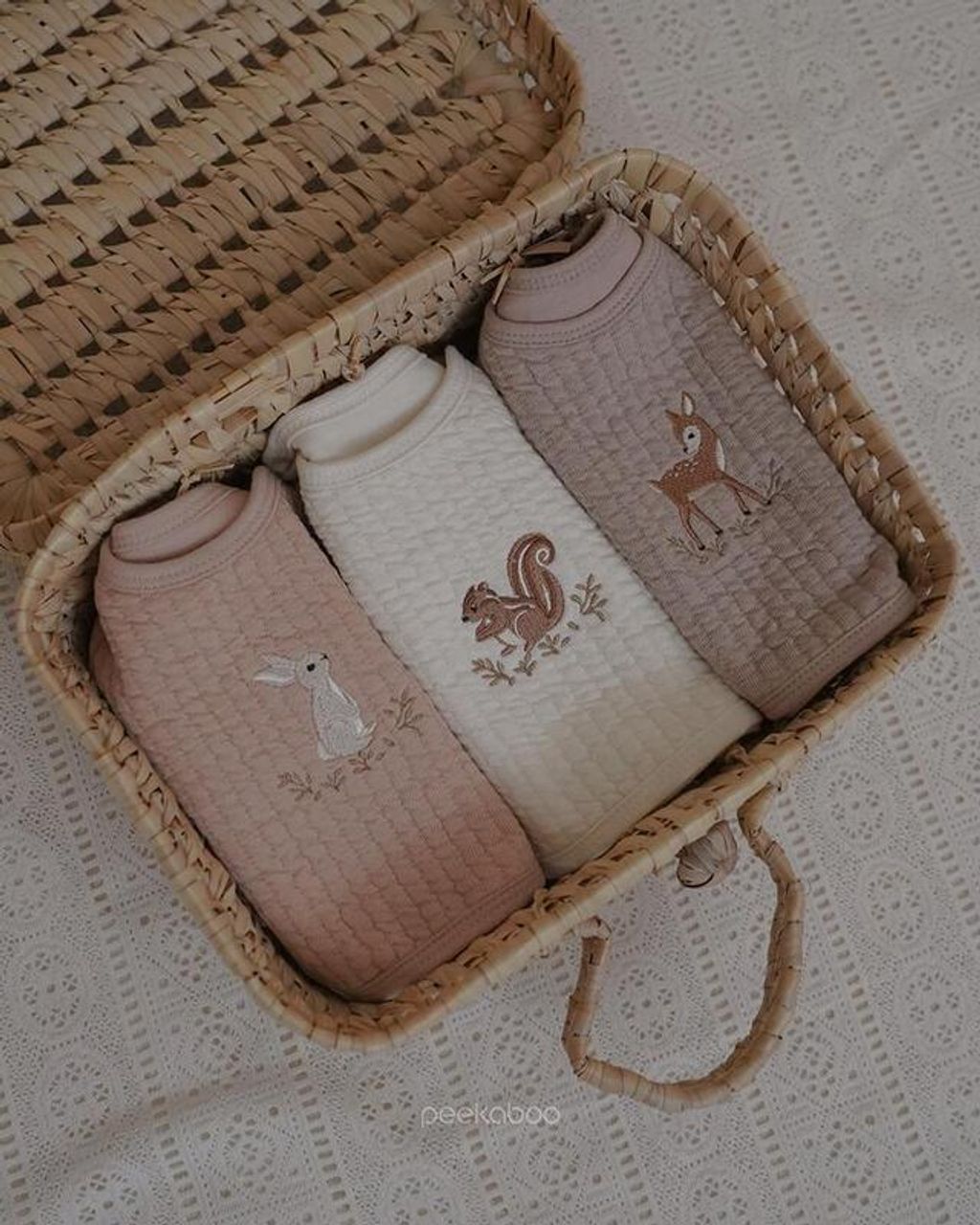 IMG_0663-1730431116233