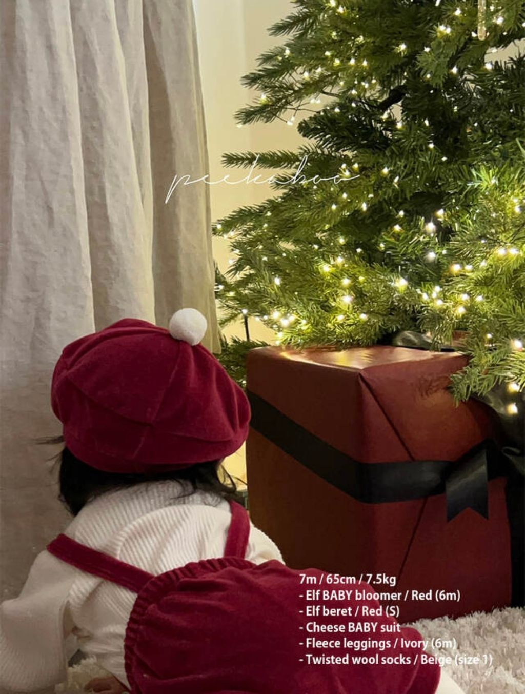 IMG_1550-1730596407886