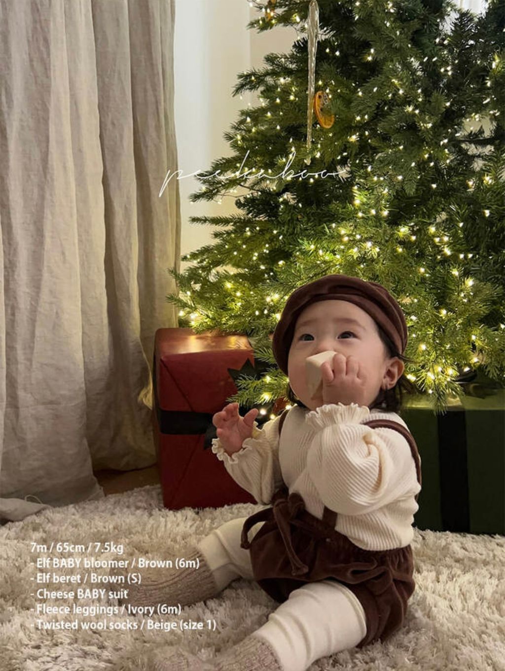 IMG_1553-1730596407896