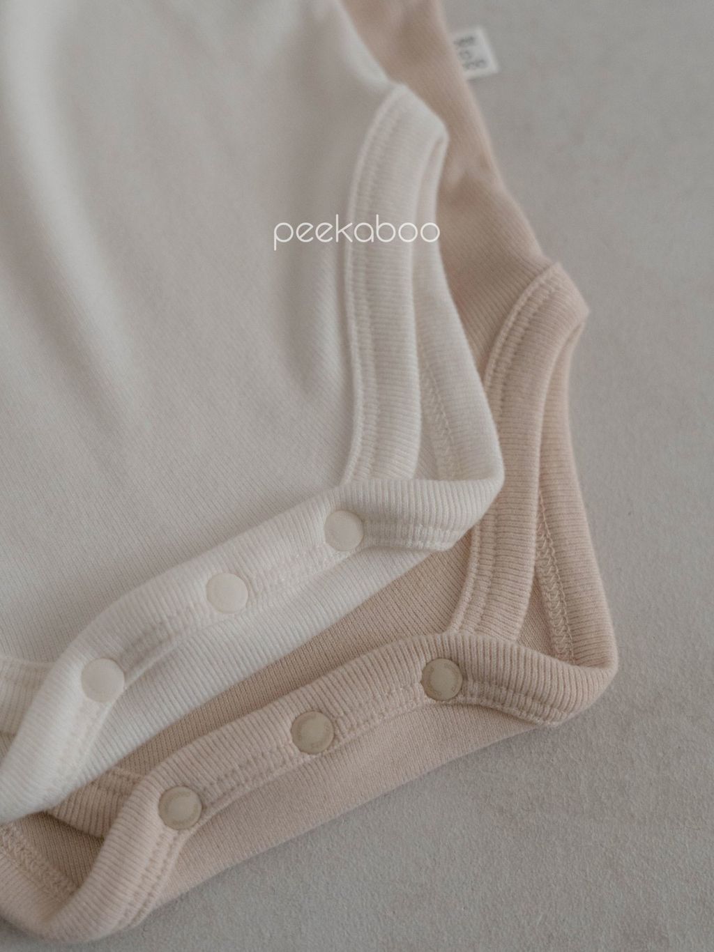 IMG_1580-1730598501731