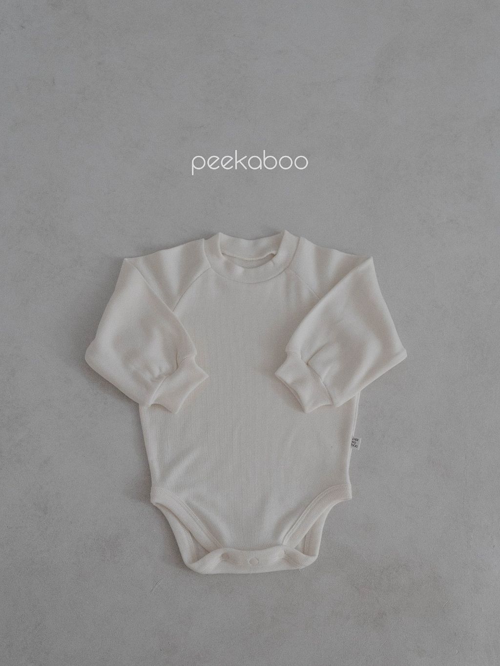 IMG_1586-1730598747912