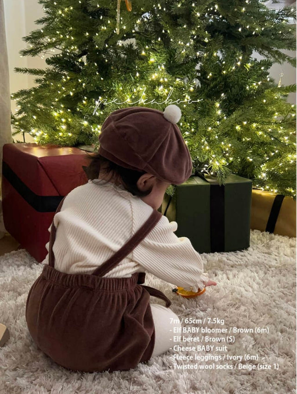 IMG_1554-1730685358409