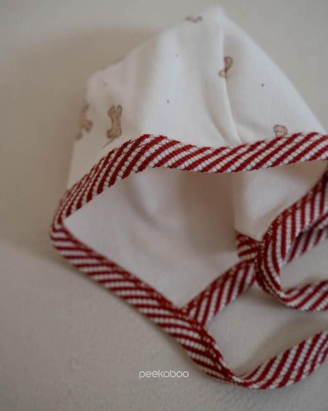 IMG_4223-1731123167100