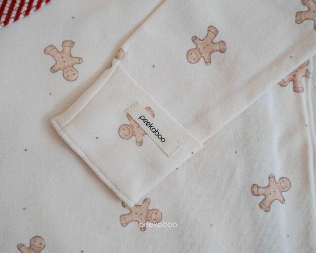 IMG_4232-1731123404623