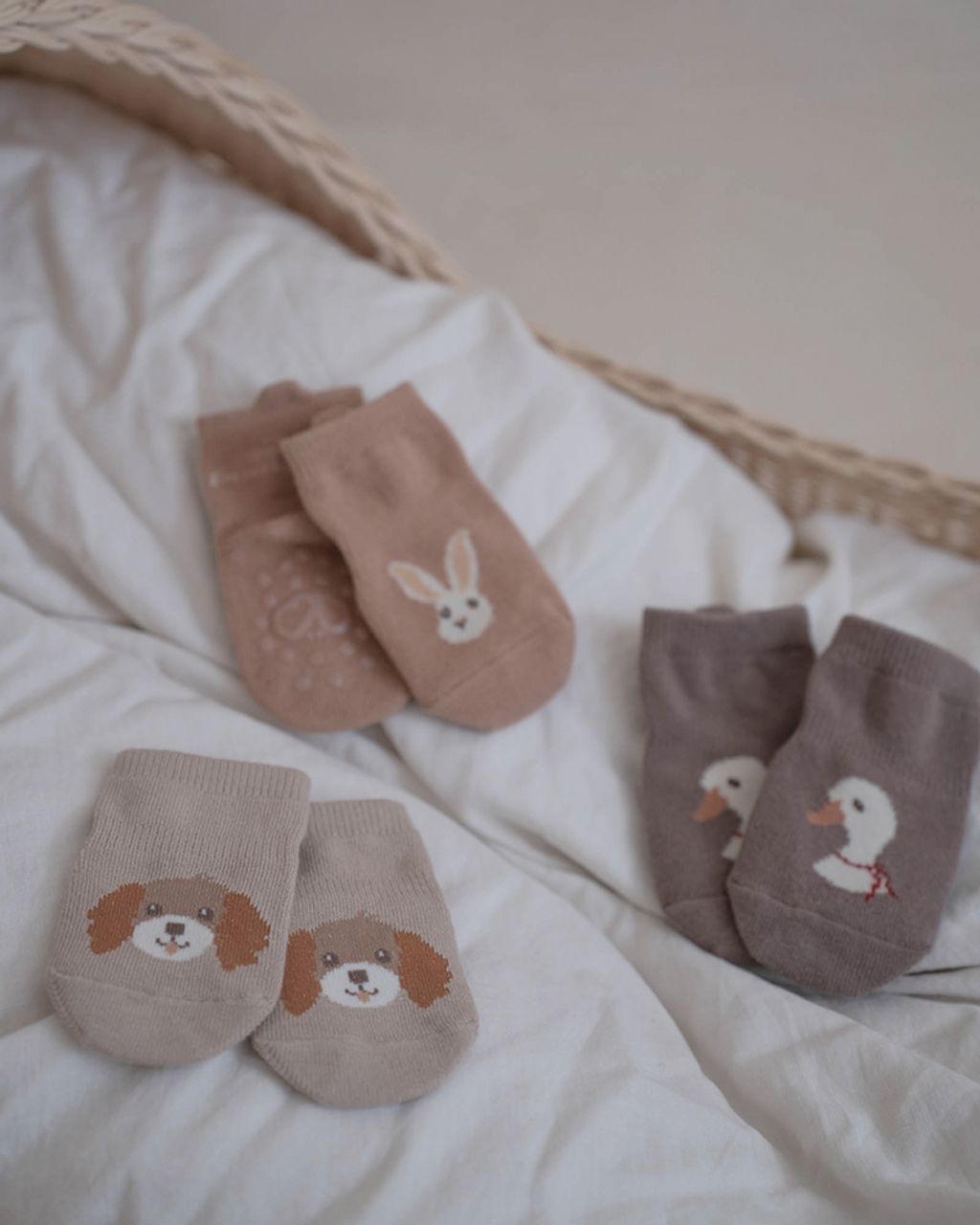 image_85FD9DD3-A8EB-47F7-9F1F-5E0214F59A37_1741068857