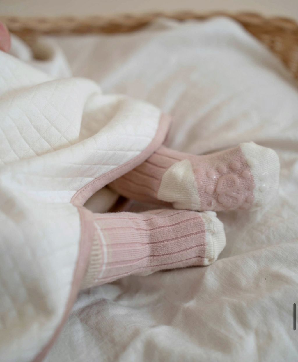 image_0B89D2EF-3F94-4369-B3F5-CCFD771DC6D3_1741171189