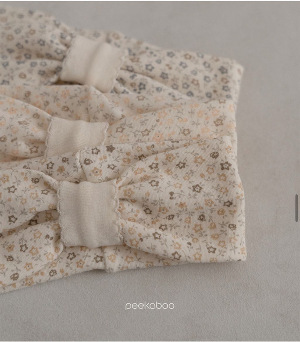 image_E1AE4DDC-3AFC-49C4-A053-65BF2F6B3469_1741184517