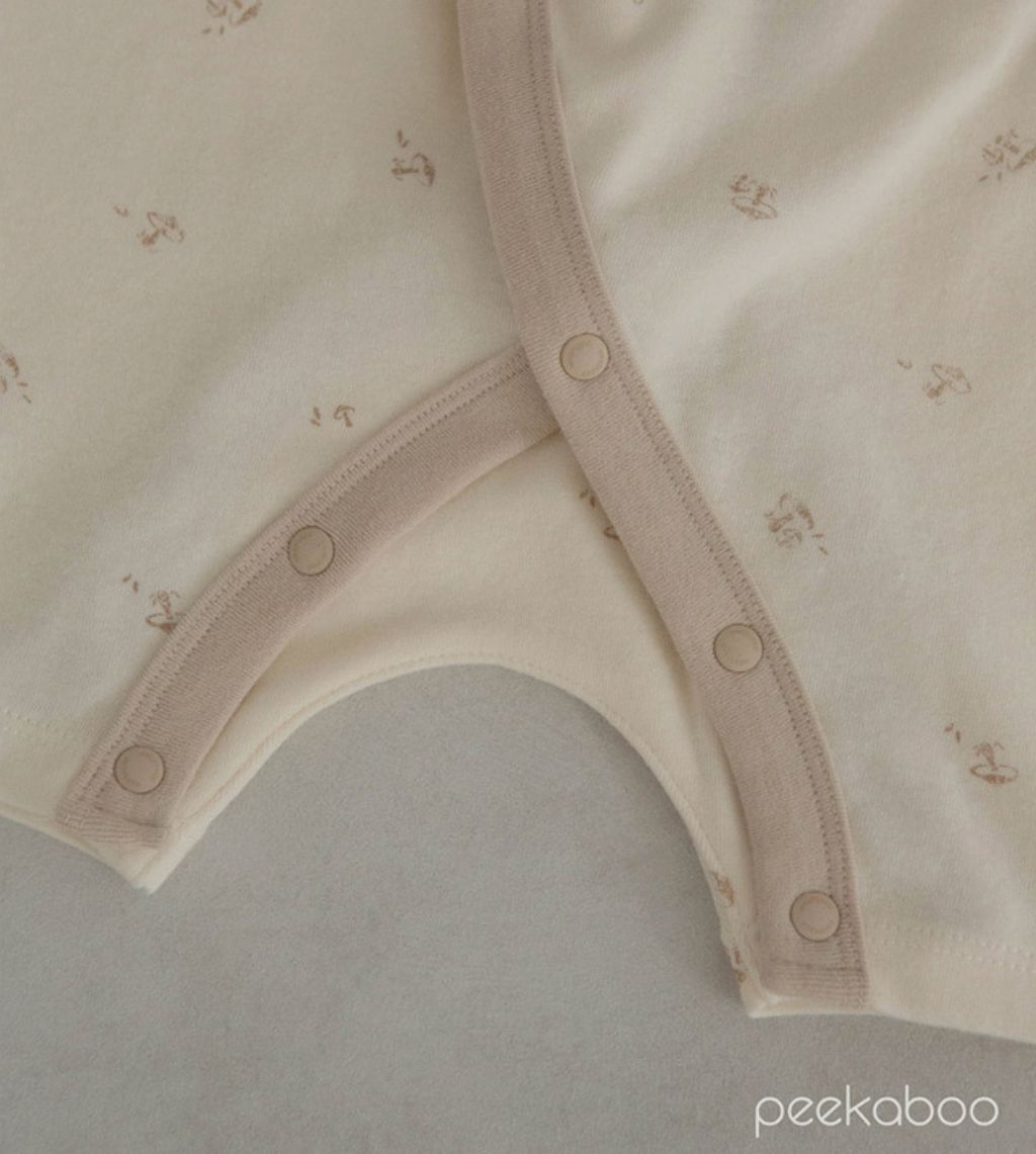 image_C31D74A9-A6B5-4254-9541-69D72A9ECC37_1747669696