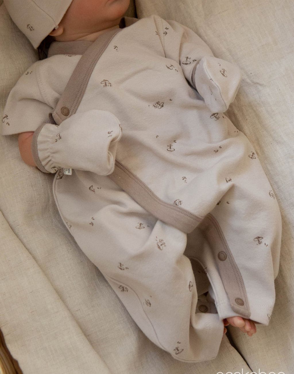 image_360015D0-49E2-489A-ABBD-9A30A926E48C_1747669696