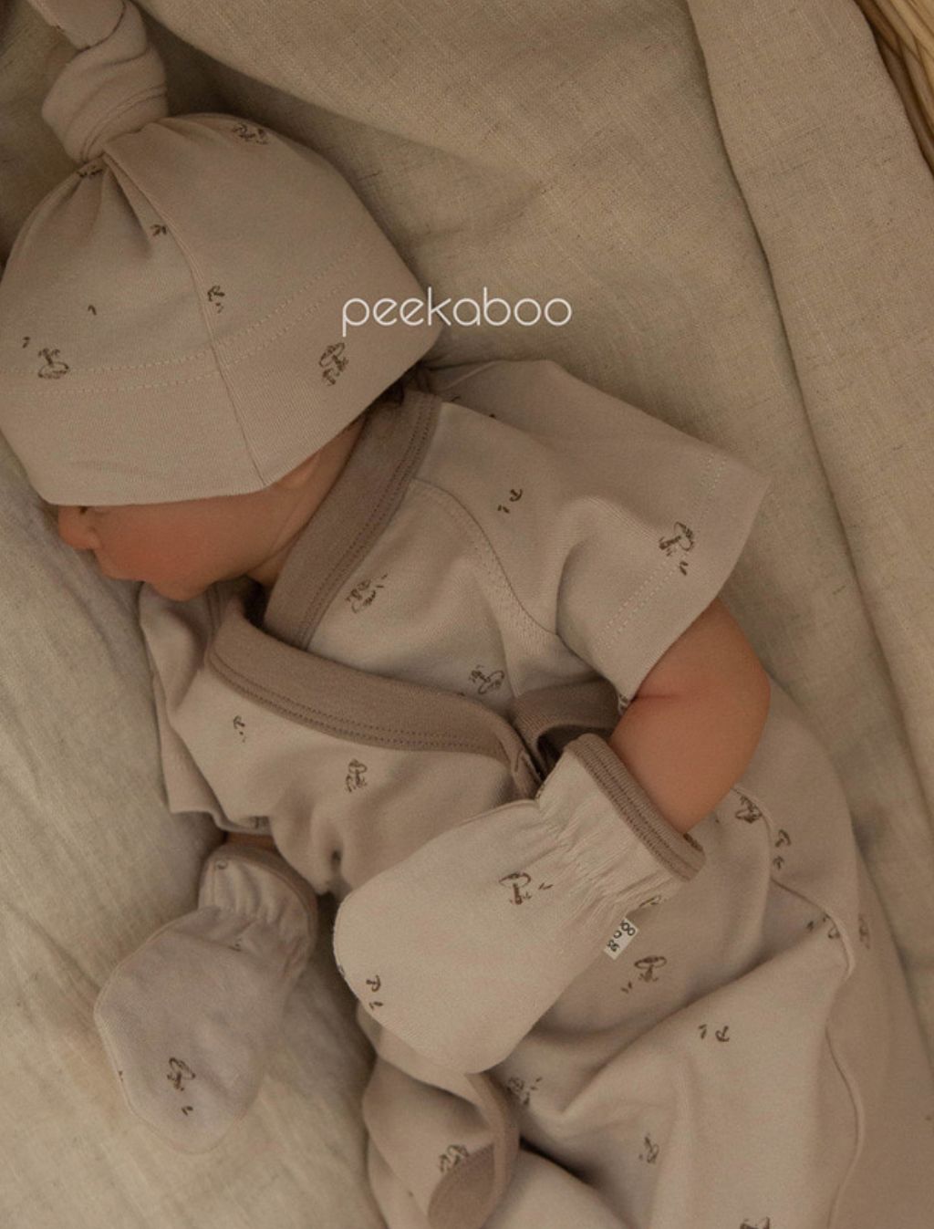 image_024EBE7F-6A2B-48F0-BE70-279C415C791A_1747669696