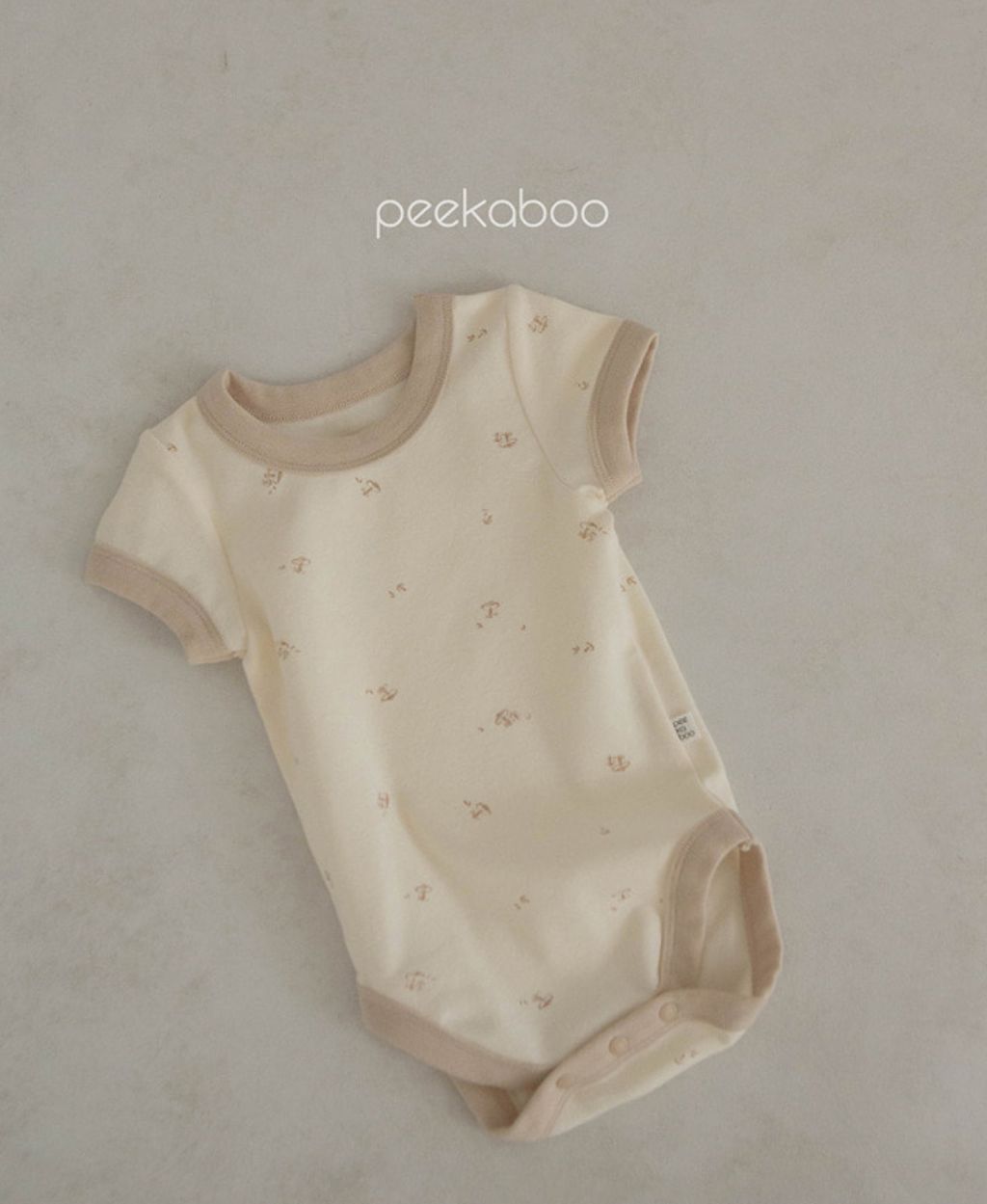 image_B730CE11-D4B8-43A8-AA39-C16290F80428_1747670450