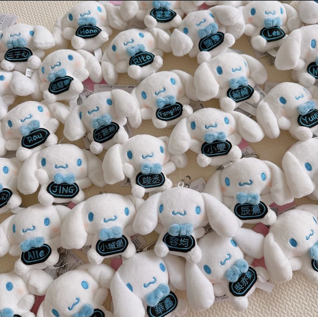 image_BE2B506A-0063-4E72-B735-2559E66AAD20_1751651320