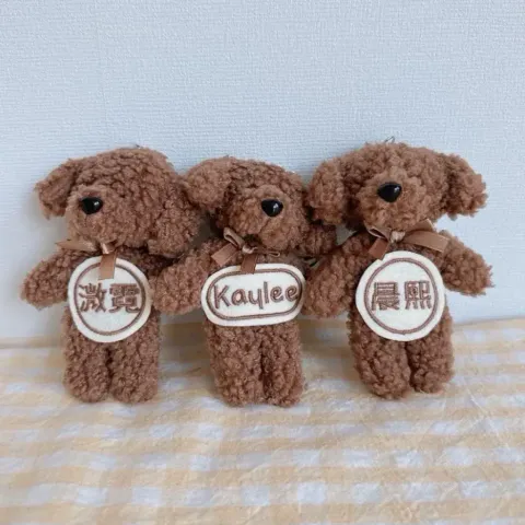 image_B019EEDC-B0AA-4D5A-9F01-806AE0BA5519_1751651555