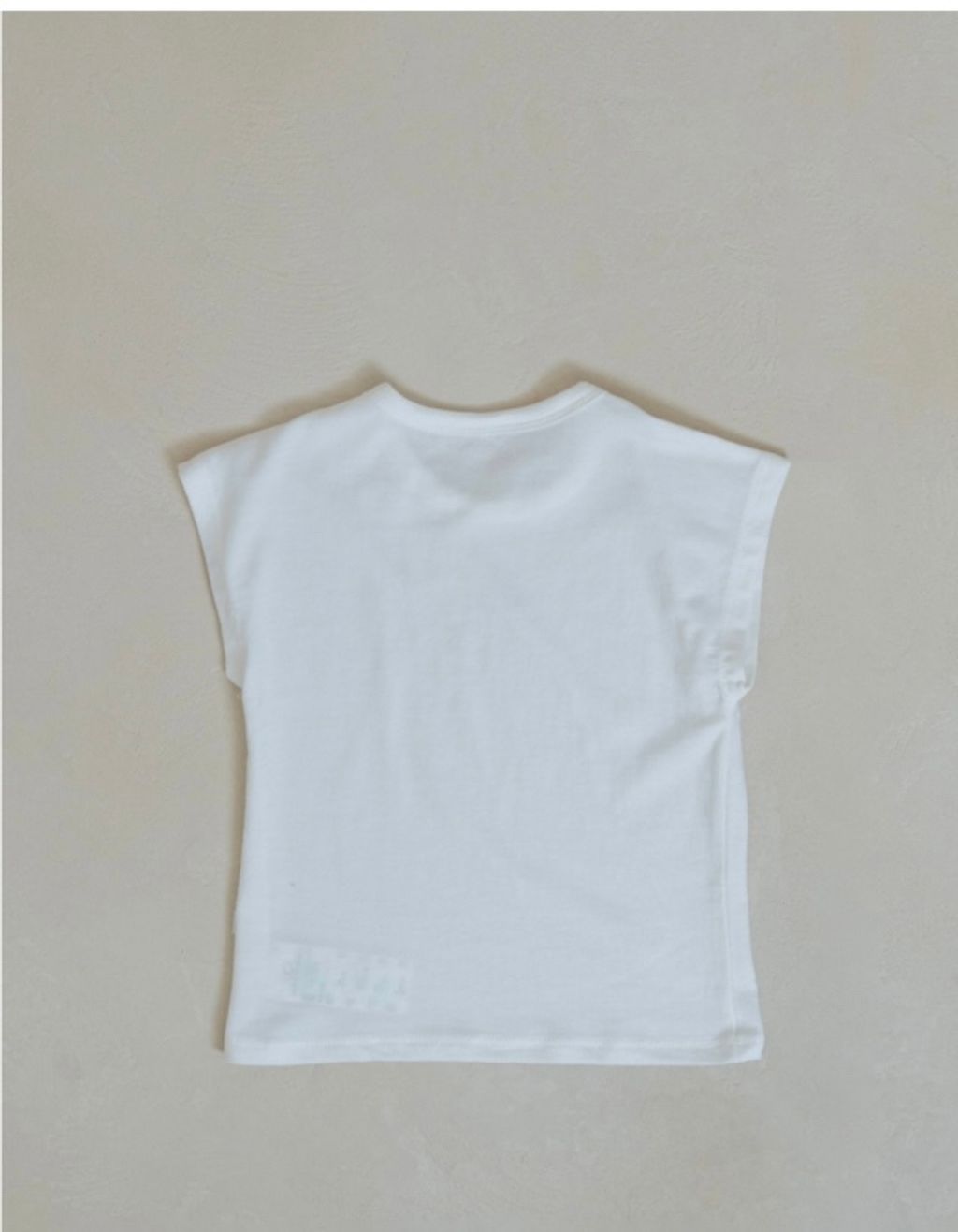 image_E4FE4A5C-6BEA-4BC5-9A7C-6F6DEDCB132E_1752409179