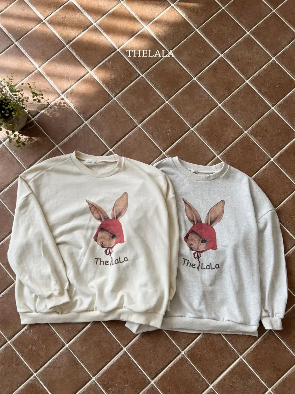 image_684EBE2A-6A19-42A1-8A47-B82472B37E7D_1754993616