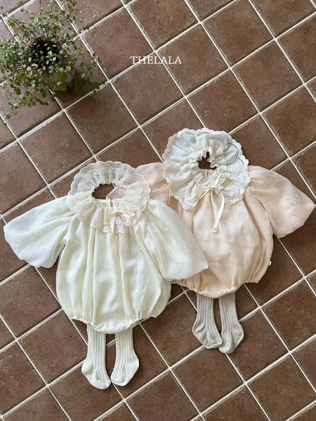 image_62613AC1-6BFA-462A-860B-37FB17E5CE14_1755047028