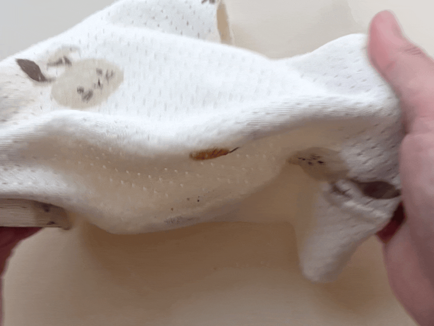 image_A455480B-62F3-4AF0-973B-0CFC69E3FFF6_1757474819