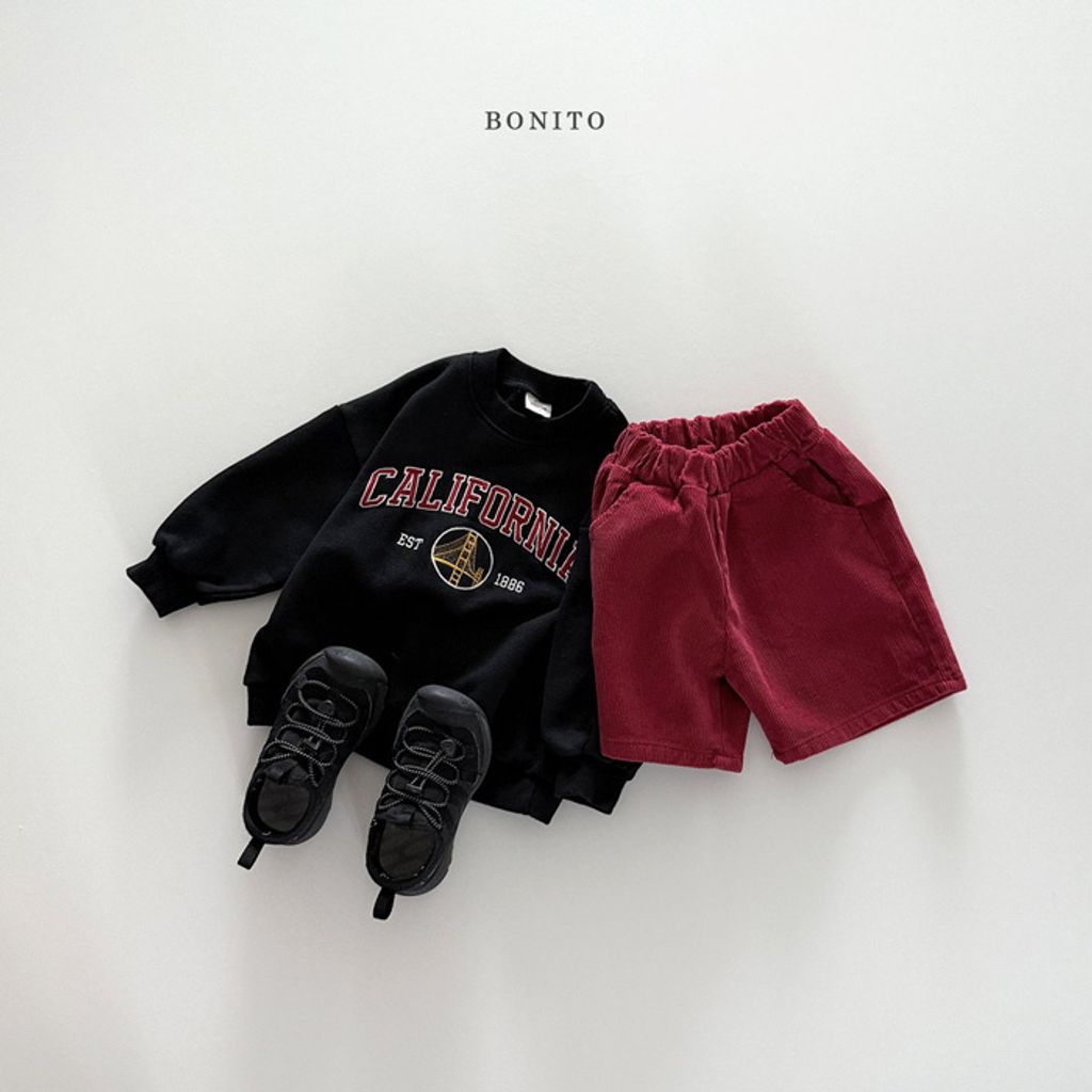 image_A979155E-42C8-4C9B-AF3A-1B4A5A58BFBA_1758207005