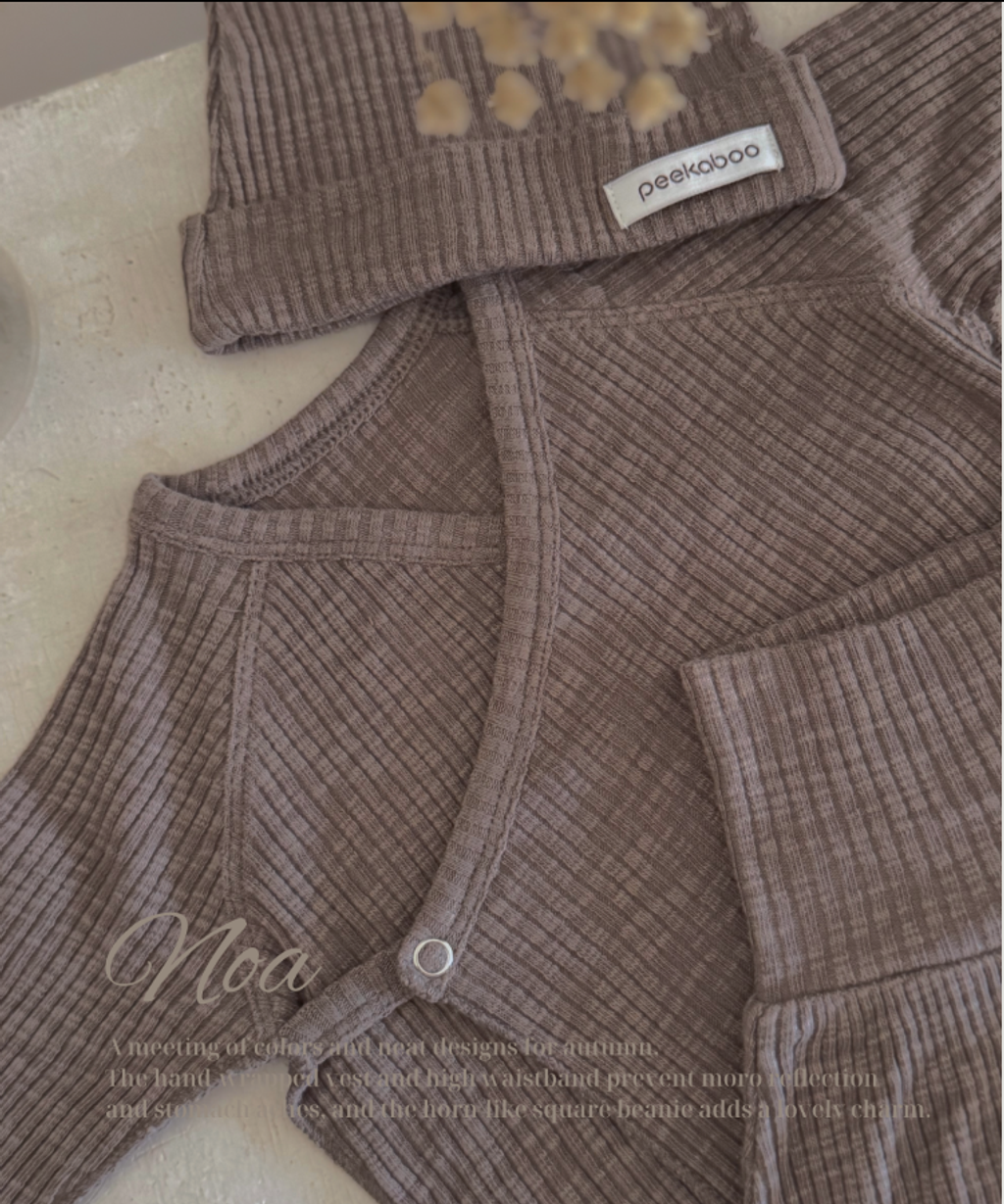 螢幕擷取畫面 2025-10-13 115121